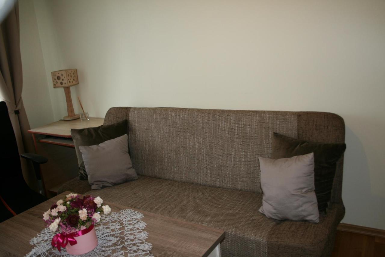 וילנה Cosy One Room Apartment מראה חיצוני תמונה